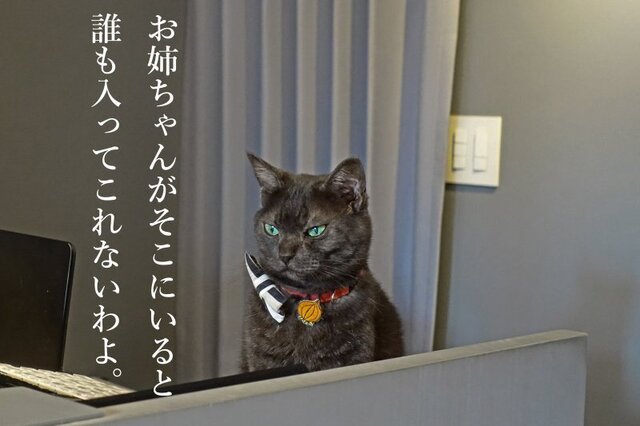 DSC00015mc.JPG
