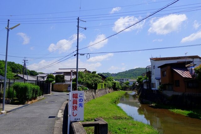 DSC00172.JPG