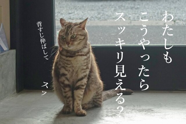 DSC00279mc.jpg