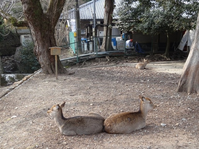 DSC00402.JPG