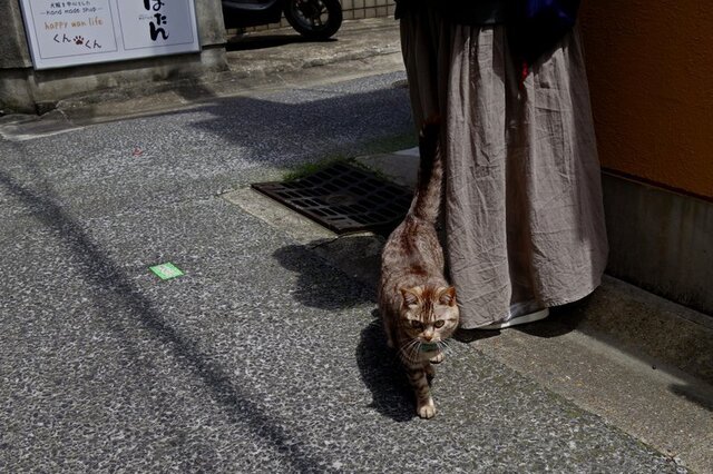 DSC00503m.jpg
