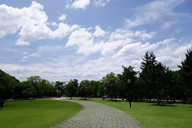 DSC00697.JPG