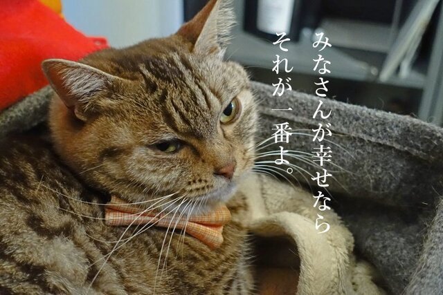 DSC00735mc.jpg
