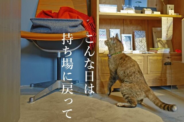 DSC00740mc.JPG