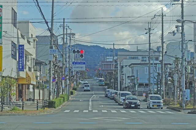 DSC00782m.jpg