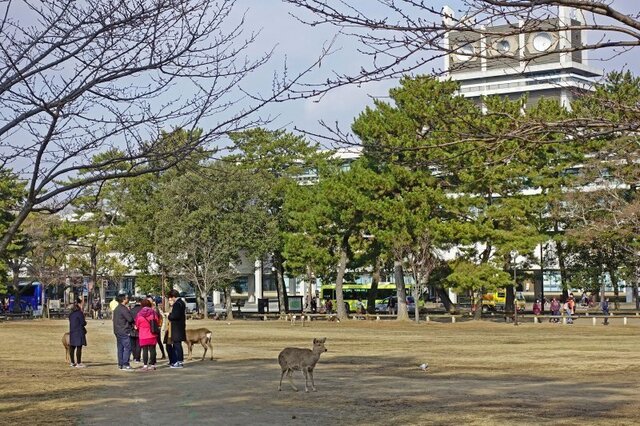 DSC00951m.jpg