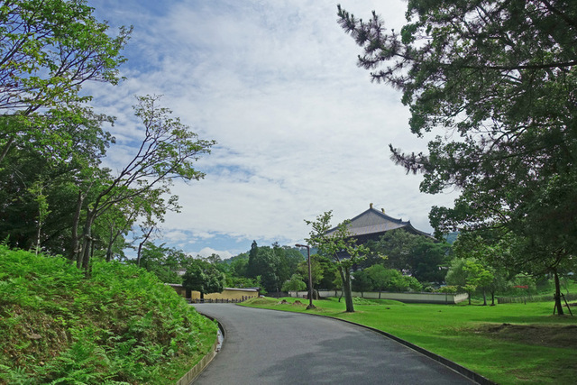 DSC01058mm.JPG