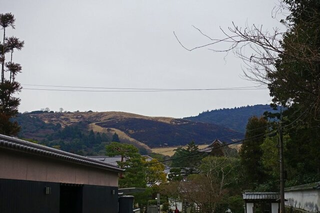 DSC01098m.jpg