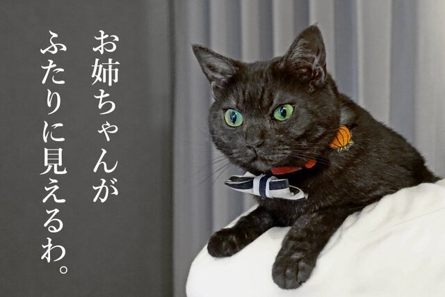 DSC01106mc.JPG