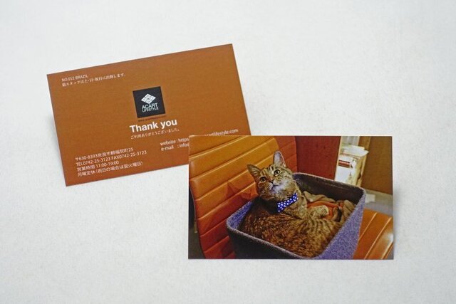 DSC01149m.jpg