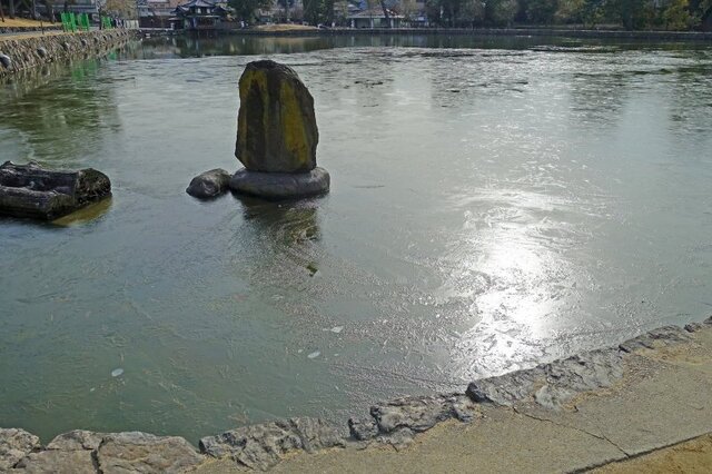 DSC01237m.jpg