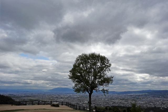 DSC01313m.JPG