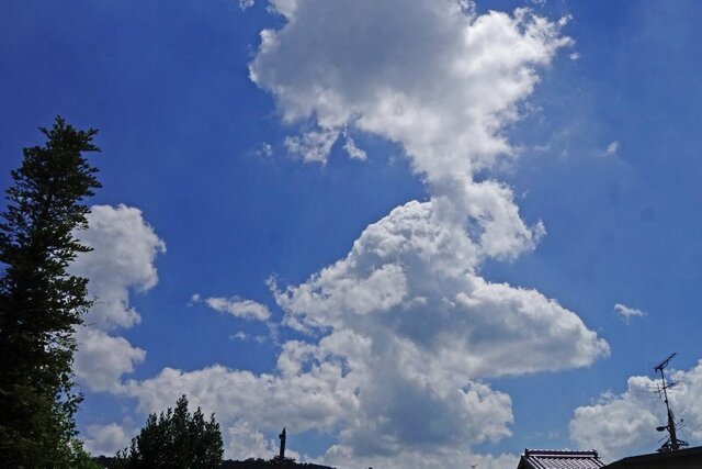 DSC01350m.jpg