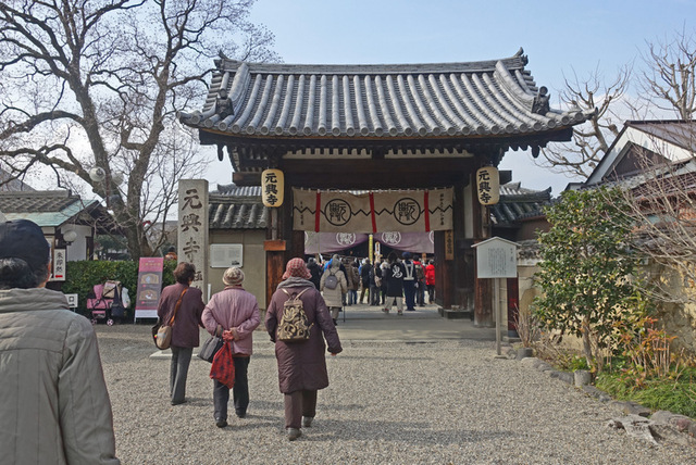 DSC01363m.jpg