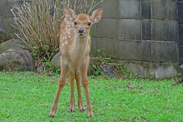 DSC01379m.jpg