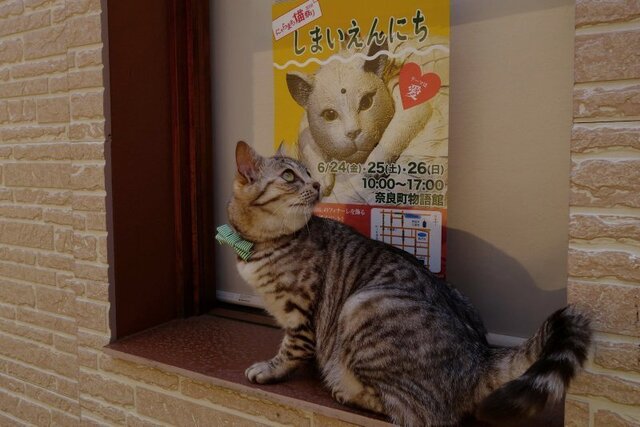 DSC01386m.jpg