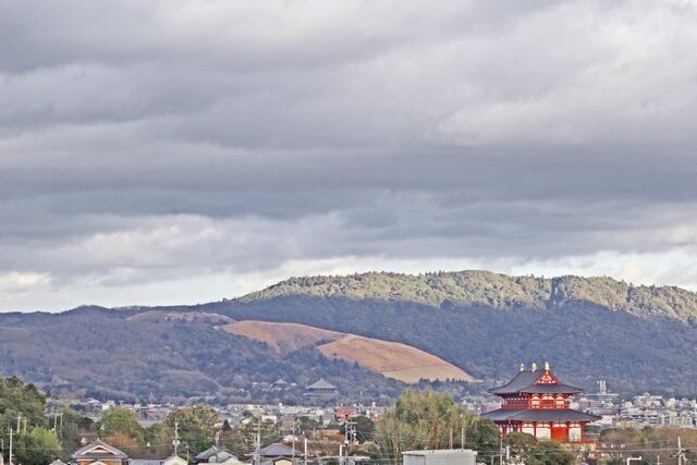 DSC01509m3.jpg