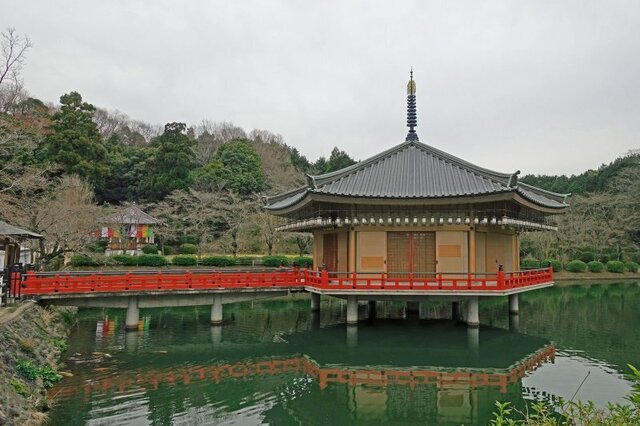 DSC01569m.jpg