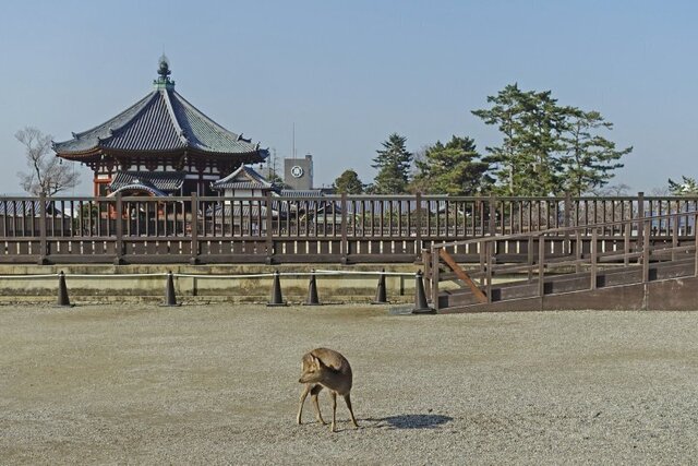 DSC01598m.jpg