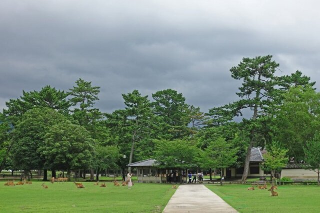 DSC01821m.jpg