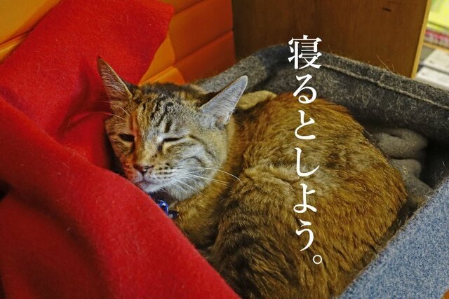 DSC01971mc.JPG