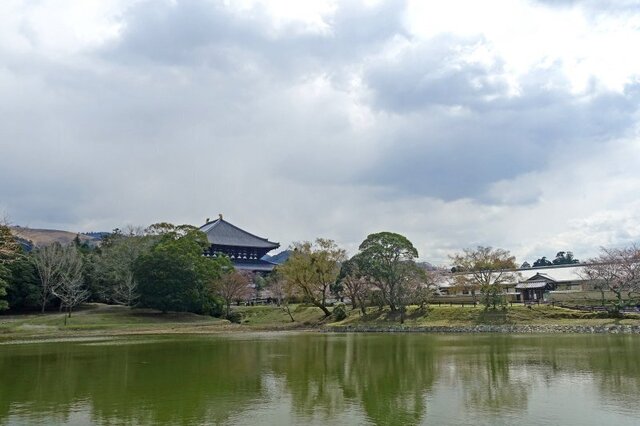 DSC02210m.jpg