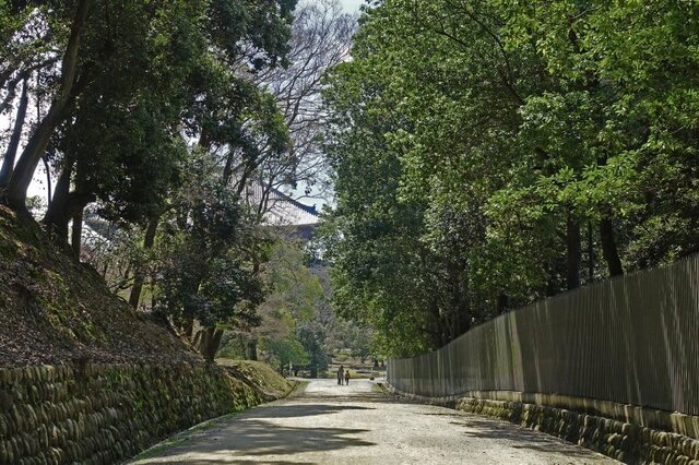 DSC02243m.jpg