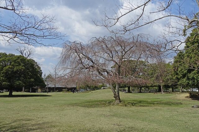 DSC02248m.jpg