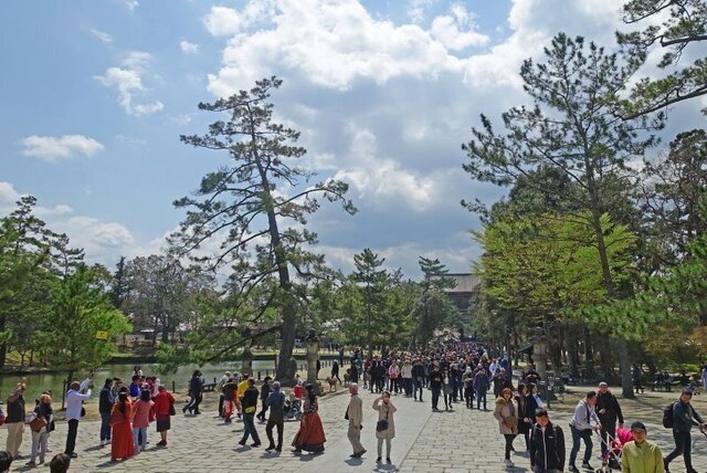 DSC02258m.jpg