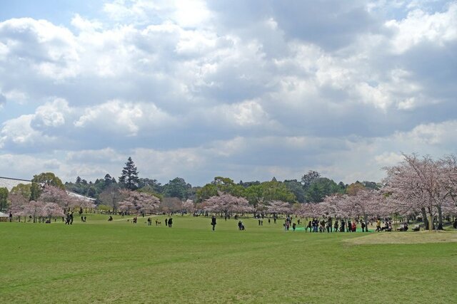 DSC02262m.jpg