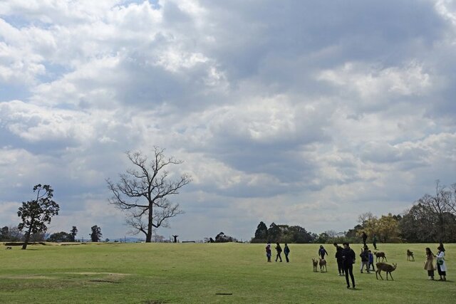 DSC02276m.jpg