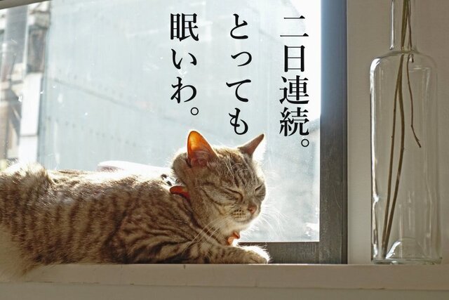 DSC02509mc.jpg