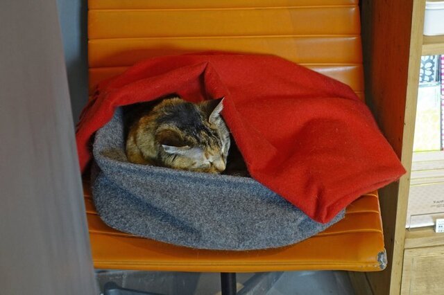 DSC02580m.jpg