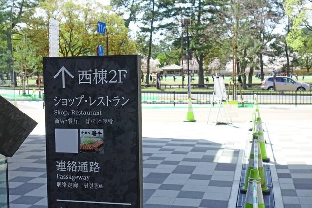 DSC02612m.jpg