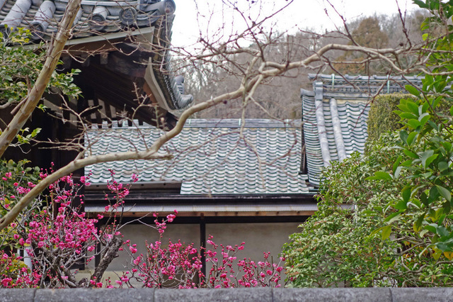 DSC02669mm.JPG