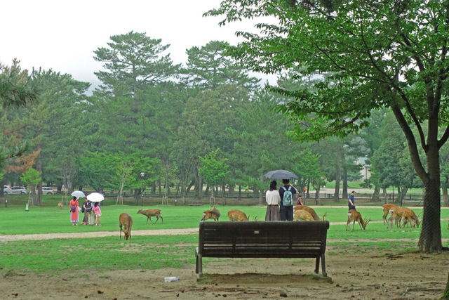 DSC02767m.jpg
