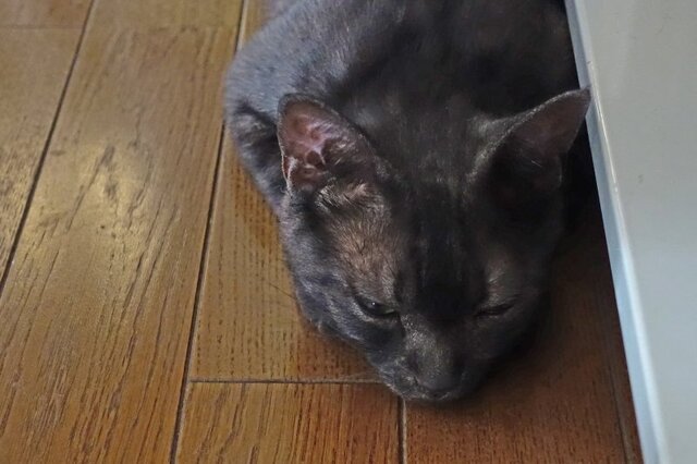 DSC02803m.jpg