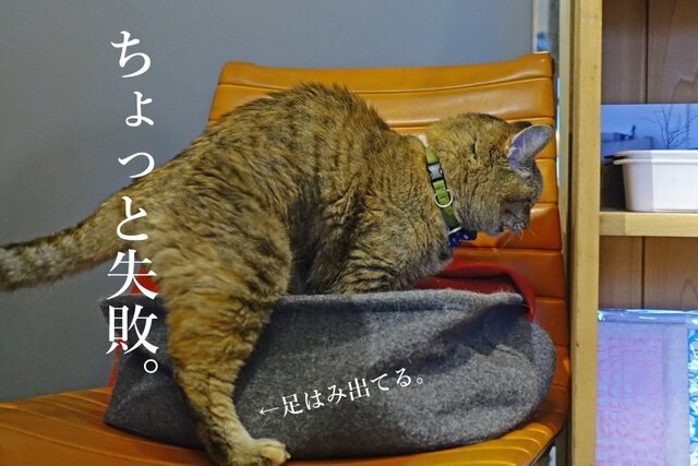 DSC02831mc.jpg