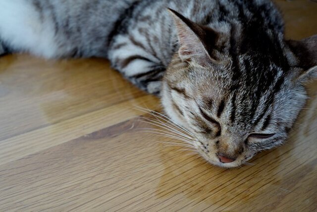 DSC02836.JPG