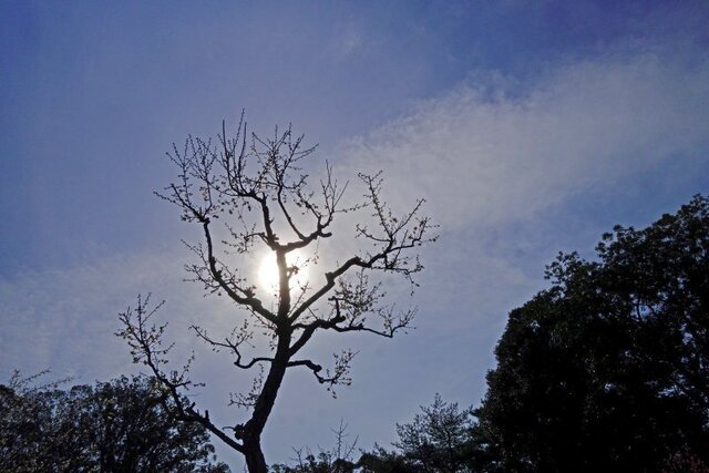 DSC03102m.jpg