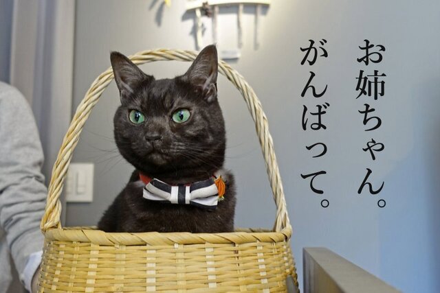 DSC03125mc.jpg