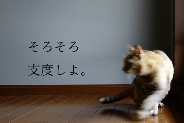DSC03239mc.jpg