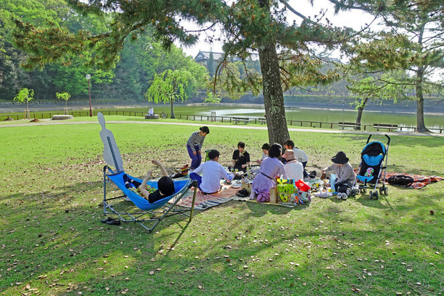 DSC03260m.jpg