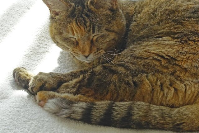 DSC03282m.jpg