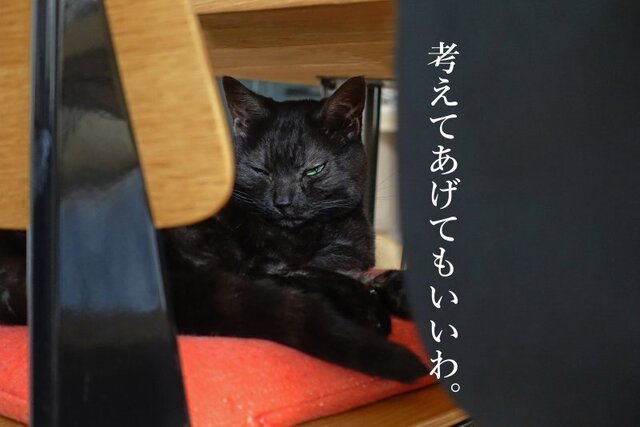 DSC03318mc.JPG