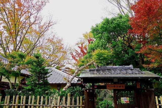 DSC03370m.jpg