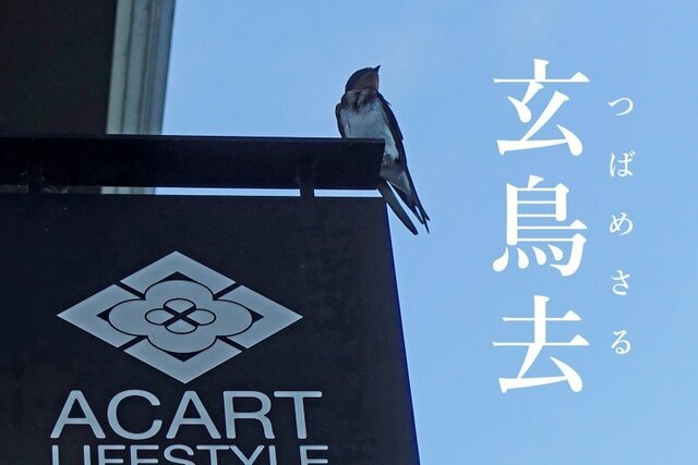 DSC03761mc.jpg