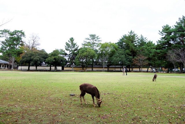 DSC03843mm.jpg