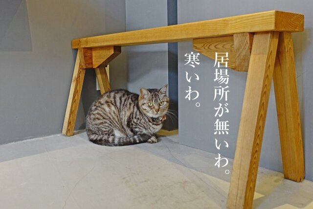 DSC04113mc.jpg