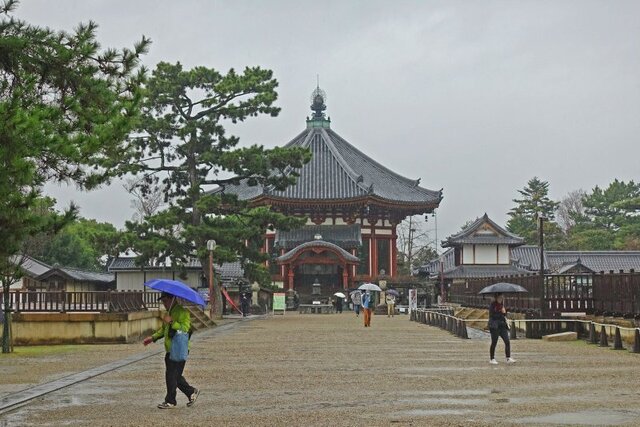 DSC04166m.jpg